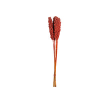 Bundle Indian Corn 75cm Red