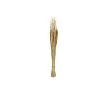 Bouquet Bear Grass & Hogla D6 H90cm Natural
