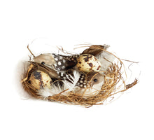 2 VOGELS 2 EIEREN IN NEST 7X11X4CM / PE-DOOS