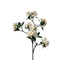 blossom noah spray 88 cm white/peach