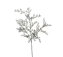 statice spray 80 cm white