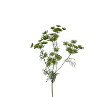 dille x 5 80 cm green