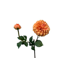 dahlia lg spray 74 cm salmon