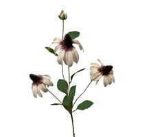 rudbeckia spray 83 cm cream