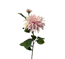 dahlia x 1 + knop spray 74 cm pearl