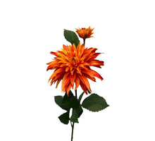 dahlia x 1 + knop spray 74 cm orange