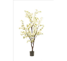 Bloesemboom in pot wit - H175 cm