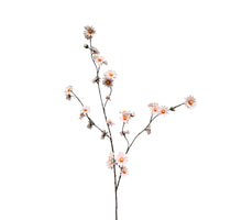 daisy spray lg 110 cm salmon