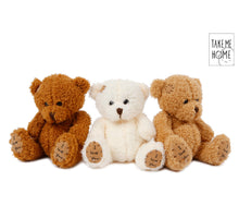 Take Me Home pluche beer 18cm 3ass kleur