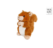 Take Me Home squirrel plush 15cm