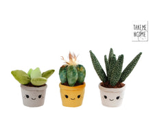 Take Me Home plant pluche L 3 assortie 19-27cm