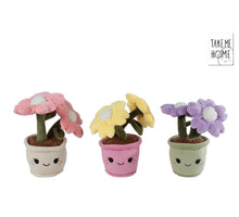 Take Me Home plant pluche bloem L 3 assortie 18cm