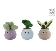 Take Me Home plant round pot L plush 3 assorted 22cm