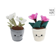 Take Me Home plant cyclaam/lenteroos assortie L pluche 24cm