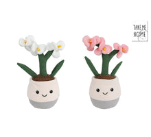 Take Me Home plant pluche orchidee L 2 assortie 23cm