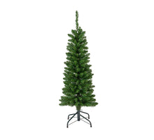 Pencil Pine tree green D45 H150cm