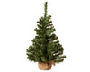 Imperial mini tree indoor green dia35 H60 cm