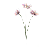 Helleborus spray, Agri purple, 52cm