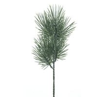Pinus pick Baker powder 30cm