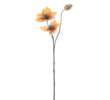 Helleborus spray Caseros orange 56cm
