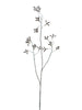 Eucalyptus bud spray brown 102cm