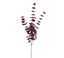 Eucalyptus spray red 120cm