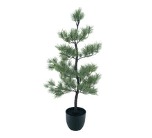 Needle pine tree in pot Ester white green 115cm