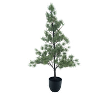 Needle pine tree in pot Ester white green 135cm
