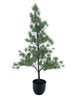 Needle pine tree in pot Ester white green 135cm