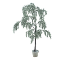 Pine tree Tomi in pot white/green 168cm