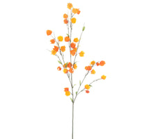 Physalis spray orange 110cm