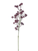 Mulberry spray red 70cm