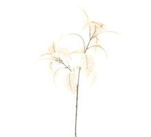 Cotton leaf spray cream 70cm