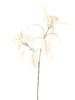Cotton leaf spray cream 70cm