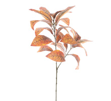 Cotton leaf spray orange 70cm