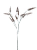 Seed spray brown 88cm