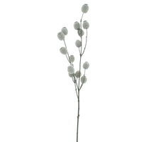 Poppy bud seed spray cream 76cm