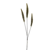 Dogtail grass spray green 88cm