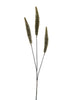 Dogtail grass spray green 88cm
