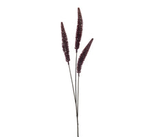 Dogtail grass spray burgundy 88cm