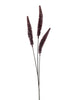 Dogtail grass spray burgundy 88cm