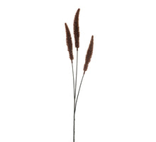 Dogtail grass spray brown 88cm
