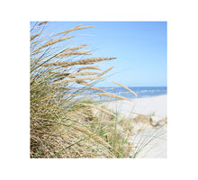 BUITEN CANVAS 58X58CM STRAND HELMGRAS