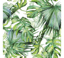 BUITEN CANVAS 58X58CM MONSTERA