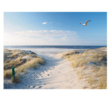BUITEN CANVAS 58X78CM STRAND ZEEMEEUW