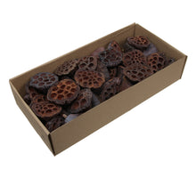 Lotus BULK Lotus 3-5cm naturel 2000st
