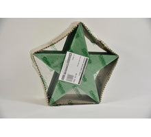 Bioline ster 30 cm groen pak a 2 stuks