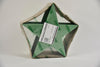 Bioline ster 30 cm groen pak a 2 stuks