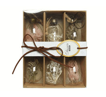 Giftbox a 6 Egg glass dried flowers mix D4 H6cm