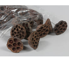 Lotus 5-7cm on 7cm wire natural 25/box